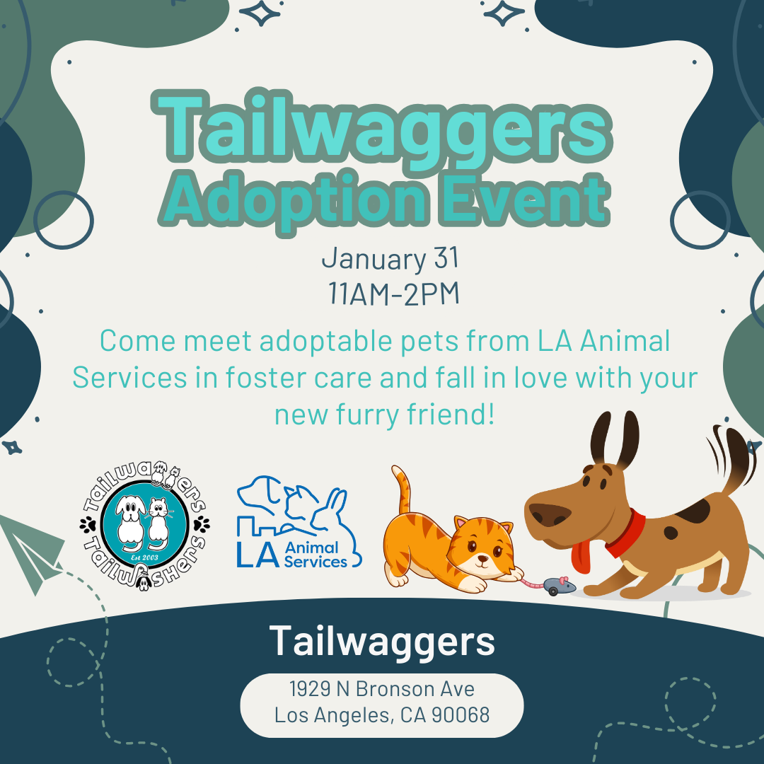 Tailwaggers Adoption Event - Hollywood | LA Animal Services